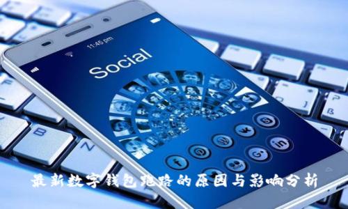 最新数字钱包跑路的原因与影响分析